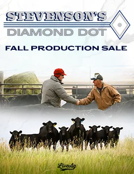 Stevenson’s Diamond Dot poster image