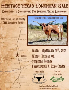 Heritage Texas Longhorn Sale