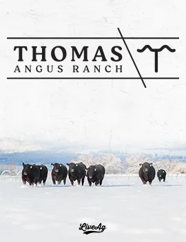 Thomas Angus Ranch poster image