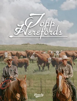 Topp Herefords Poster