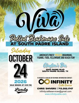 Viva Polled Brahman poster image
