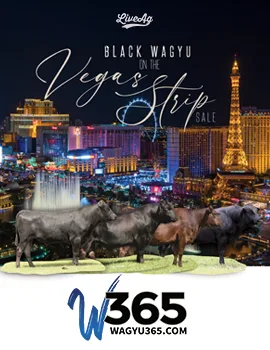 Black Wagyu on The Vegas Strip