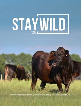 Wilders Wagyu poster image