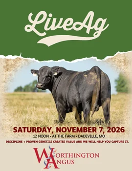 Worthington Angus 7th Annual Fall Sale Poster