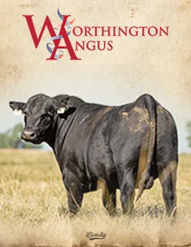 Worthington Angus poster image