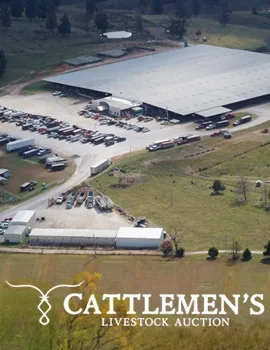 ALOTO Cattlemen's Livestock Auction Poster