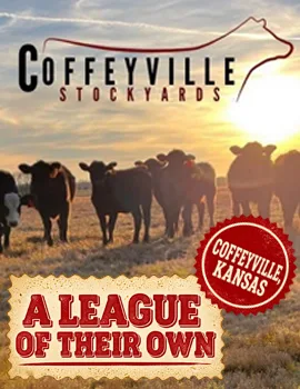 ALOTO Coffeyville Stockyards Poster