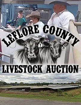 ALOTO Leflore County Livestock Auction Poster