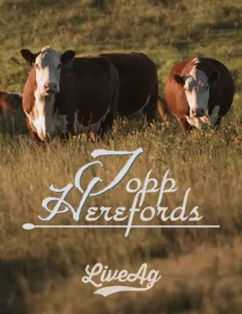Topp Herefords poster image