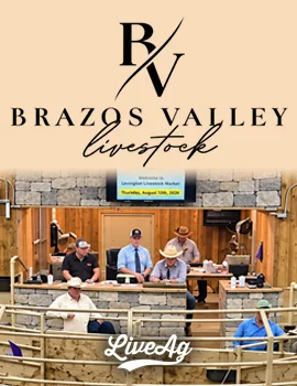Brazos Valley poster image