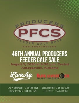 LiveAg Producers Feeder Calf Sale Catalog Cover